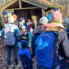 02 Aktion Februar 25 Tiere im Winterwald